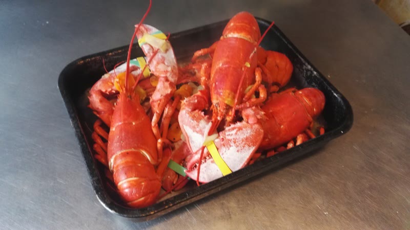 Homards entiers dans un plat avant cuisson